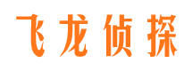 永红市侦探调查公司